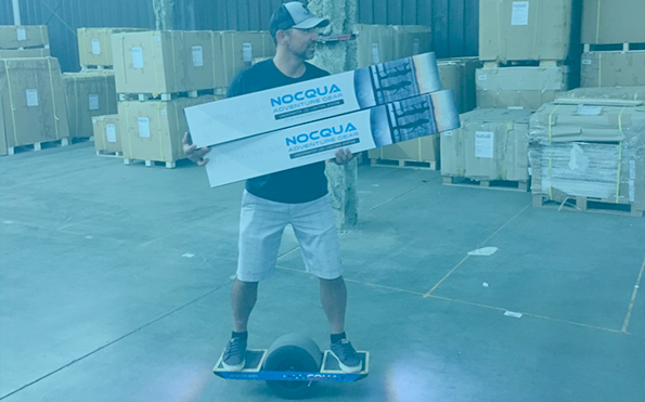 FREE DOMESTIC SHIPPING